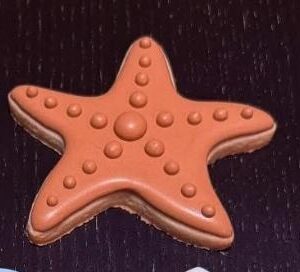 Starfish Outline Cutter Variety of Sizes
